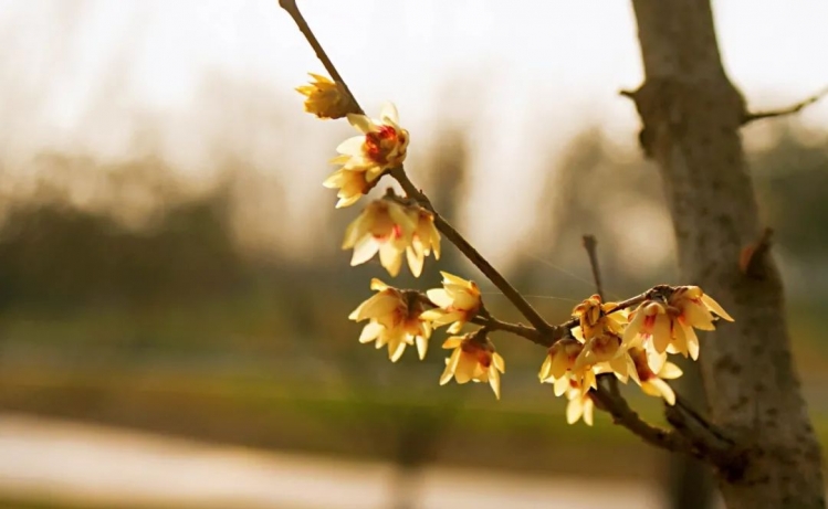 【早读】十二月，你好！