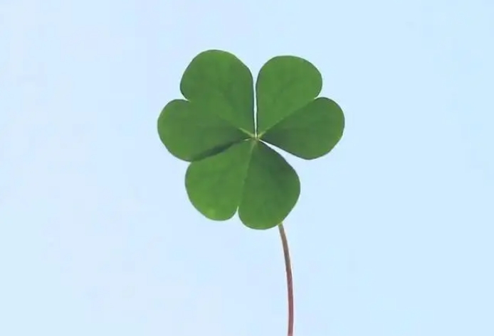 【夜读】就算不完美，也要欣赏和认可自己