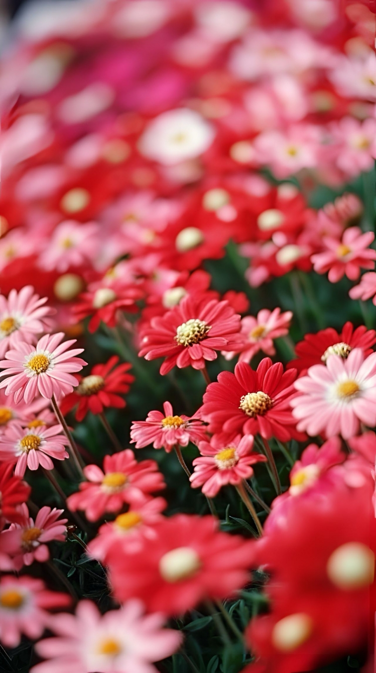 【夜读】愿你走过一路时光，依然保持热爱