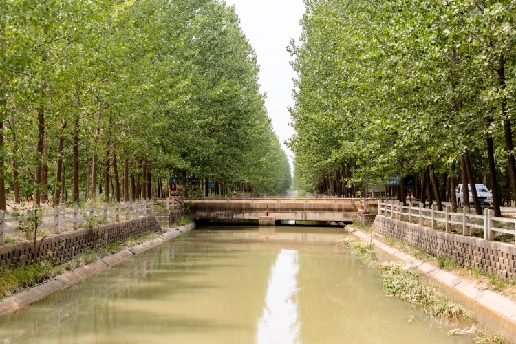 砂礓河畔的烽火岁月