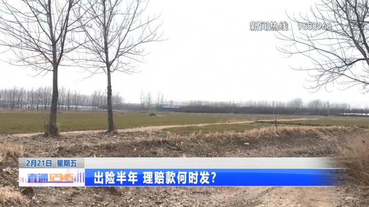 出险半年 理赔款为何“石沉大海”？