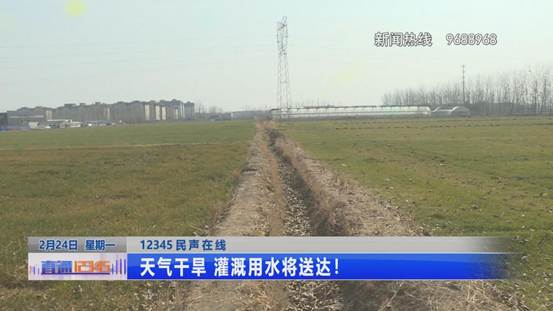 面对旱情  如何让麦苗喝上“救命水”？