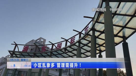 小区乱象多 管理需提升！