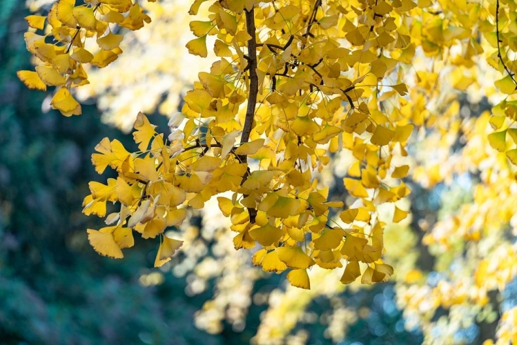 【早读】真正厉害的人，往往简单到极致