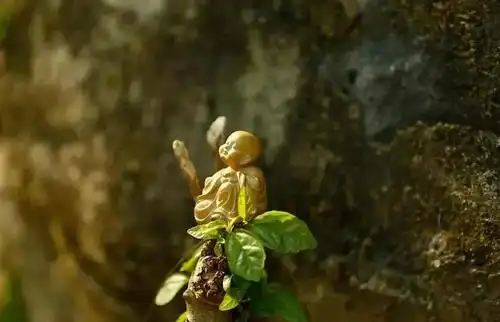 【夜读】心干净，身自在