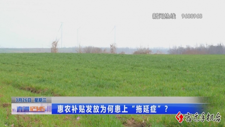惠农补贴发放为何患上“拖延症”？