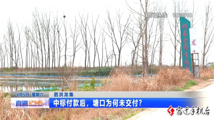 标中了，钱交了，塘口交付为何却难了？